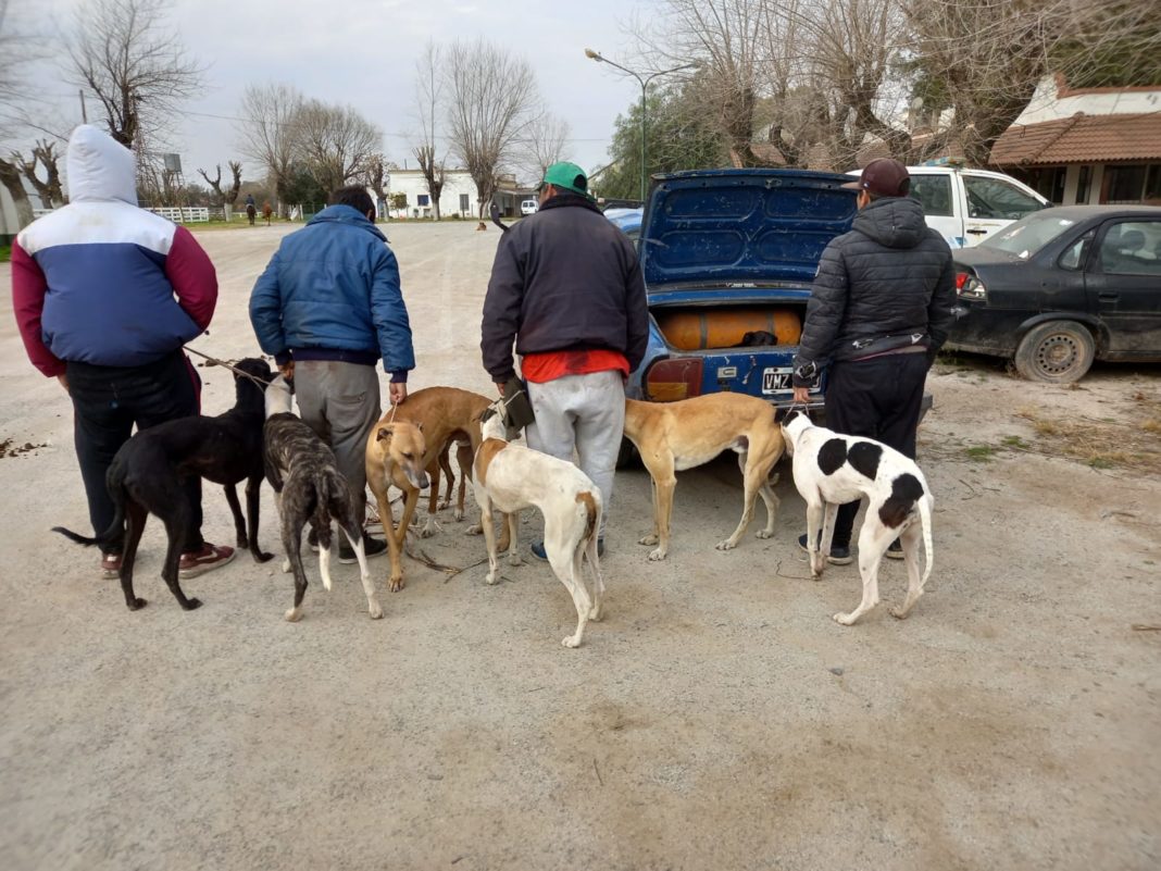 Infractores en la sede del CPR en la Rural de Chascomús